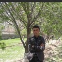 ���������� ������, ���� ������� ����, 37 ���, ������������ ��� c�������� ���������