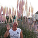 ���������� ������, ���� ������� �����, 60 ���, ������������ ��� ����� � ���������, c�������� ���������