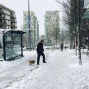 ���������� ������, ���� ������� Frank, 57 ���, ������������ ��� ������, ����� � ���������, c�������� ���������