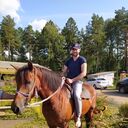 ���������� ������, ���� ������� ������, 29 ���, ������������ ��� c�������� ���������, ���������