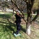  --,   , 31 ,   ,   , c , 