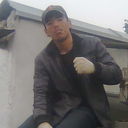  ,   Shoxa, 38 ,   ,   , c , 
