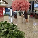  ,   , 27 ,     