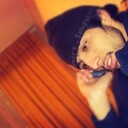 ���������� ����, ���� ������� ������, 34 ����, ������������ ��� ������, ����� � ���������, c�������� ���������