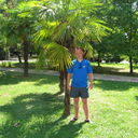 ���������� �������, ���� ������� �������, 36 ���, ������������ ��� ������, ����� � ���������, c�������� ���������