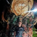 ���������� ������, ���� ������� ���������, 54 ����, ������������ ��� ������, ����� � ���������, c�������� ���������