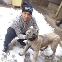 ���������� �������, ���� ������� Umid, 36 ���, ������������ ��� ����� � ���������, c�������� ���������