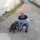 ���������� �����������, ���� ������� Ivan, 36 ���, ������������ 