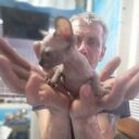  ,   , 43 ,   ,   