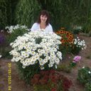  ,   Elenka66, 59 ,   ,   , c 