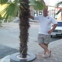 ���������� ��������, ���� ������� ������, 43 ����, ������������ ��� ������, ����� � ���������, c�������� ���������