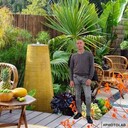 ���������� ����������, ���� ������� ������, 41 ���, ������������ ��� ������, ����� � ���������