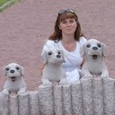 ���������� �����-���������, ���� ������� �����, 54 ����, ������������ ��� ����� � ���������, c�������� ���������