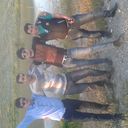 ���������� ����, ���� ������� Alim, 40 ���, ������������ ��� ������