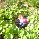  -,   , 34 ,   ,   , c 