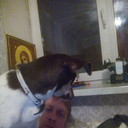  ,   , 44 ,   ,   , c 