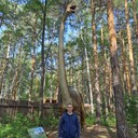 ���������� ������������, ���� ������� �����, 36 ���, ������������ 