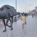  ,   , 55 ,     , c 