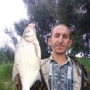 ���������� ����, ���� ������� ���������, 46 ���, ������������ ��� ������, ����� � ���������