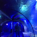  ,   Nazar, 34 ,   ,   , c 