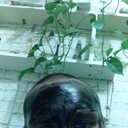 ���������� �����-���������, ���� ������� ��, 40 ���, ������������ ��� ������, ����� � ���������