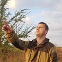 ���������� ������, ���� ������� ���������, 46 ���, ������������ ��� ����� � ���������, c�������� ���������