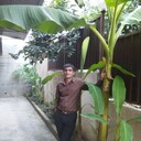 ���������� �����, ���� ������� �����, 38 ���, ������������ ��� ����� � ���������, ���������