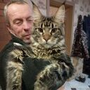 ���������� �����, ���� ������� ��������, 47 ���, ������������ ��� ������, ����� � ���������