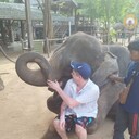  ,   , 37 ,   ,   , c 