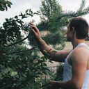 ���������� ������, ���� ������� ������, 30 ���, ������������ ��� ������, ����� � ���������, ���������