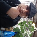  ,   , 59 ,   ,   