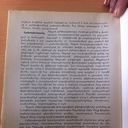 ���������� ������, ���� ������� Aram, 43 ����, ������������ ��� ������