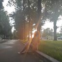 ���������� �����-���������, ���� ������� ����, 29 ���, ������������ ��� ����� � ���������, c�������� ���������