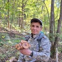 ���������� �����������, ���� ������� ����, 50 ���, ������������ ��� ������, ����� � ���������, c�������� ���������