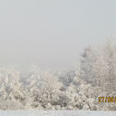 ���������� ������ ��������, ���� ������� ����, 33 ����, ������������ ��� ������, ����� � ���������, c�������� ���������, ���������