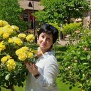   ,   , 52 ,     , c 