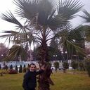 ,   , 39 ,   c , 