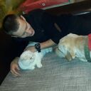 ���������� ���������, ���� ������� �������, 34 ����, ������������ ��� ������, ����� � ���������, c�������� ���������, ���������