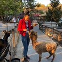 ���������� ������, ���� ������� �����, 31 ���, ������������ ��� ����� � ���������