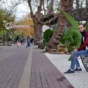 ���������� ����, ���� ������� Maga, 35 ���, ������������ ��� ������, ����� � ���������, c�������� ���������, ���������