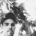 ���������� ������, ���� ������� �����, 37 ���, ������������ ��� ������, ����� � ���������, c�������� ���������