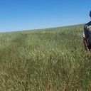 ���������� ������, ���� ������� ����, 48 ���, ������������ 