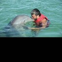  ,   RAMIN, 40 ,   ,   