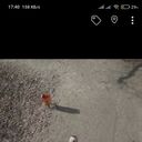 ���������� ������, ���� ������� �����, 27 ���, ������������ ��� ������, ����� � ���������