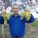 ���������� ������, ���� ������� ����������, 61 ���, ������������ 