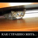 ,   , 61 ,   