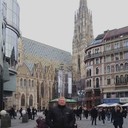 ���������� ������, ���� ������� �����, 43 ����, ������������ ��� ����� � ���������, c�������� ���������