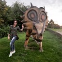 ���������� �����, ���� ������� �����, 45 ���, ������������ ��� ������, ����� � ���������, c�������� ���������