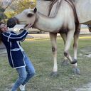  ,   , 44 ,   ,   , c , 