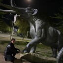 ���������� ��������, ���� ������� ������, 26 ���, ������������ ��� ������, ����� � ���������, ���������